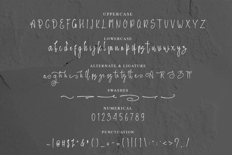 Handwritten Font