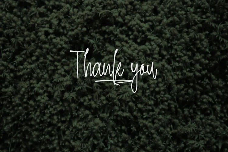 Handwritten Font