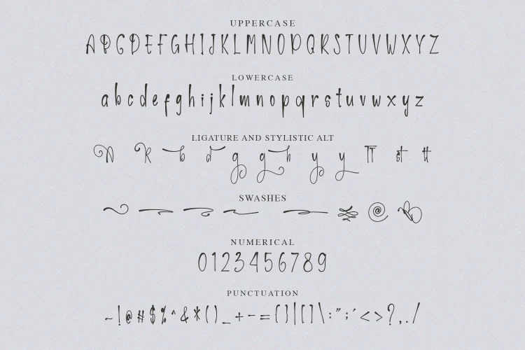 Handwritten Font