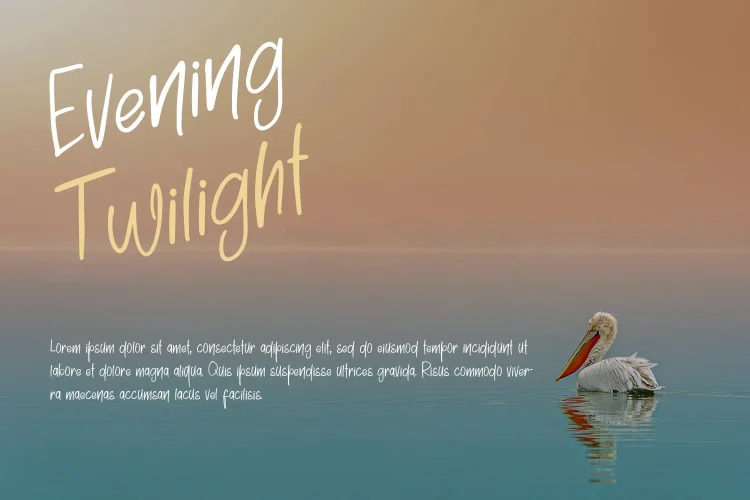 Handwritten Font