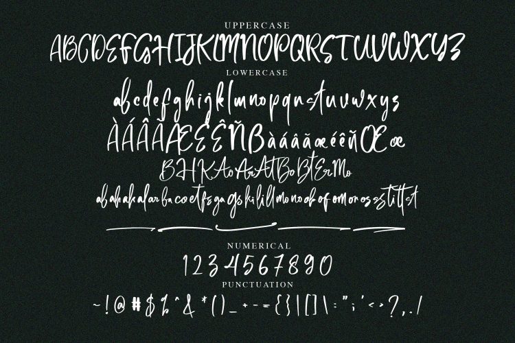 Handwritten Font