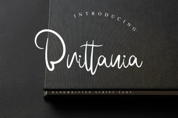 Handwritten Font