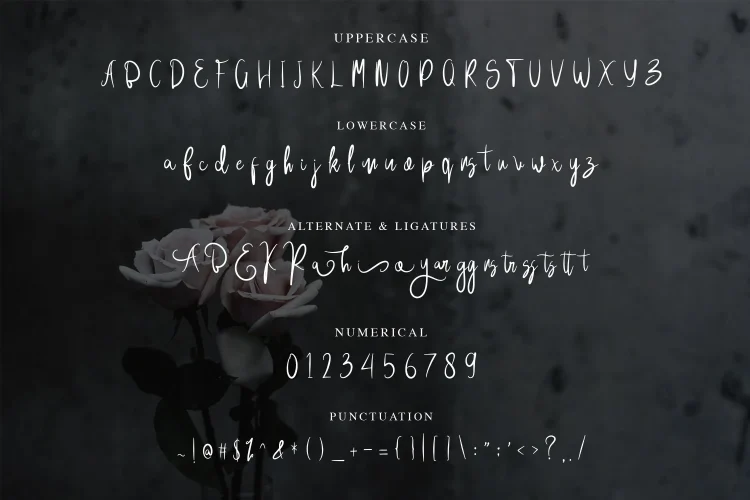 Handwritten Font