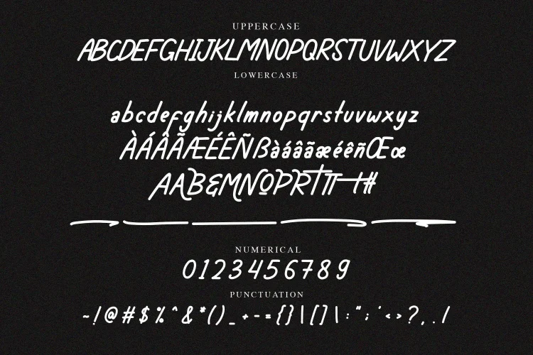 Handwritten Font