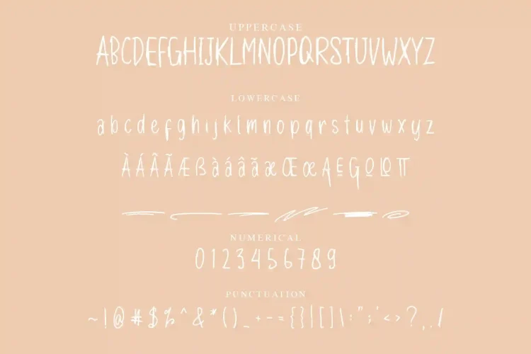 Handwritten Font
