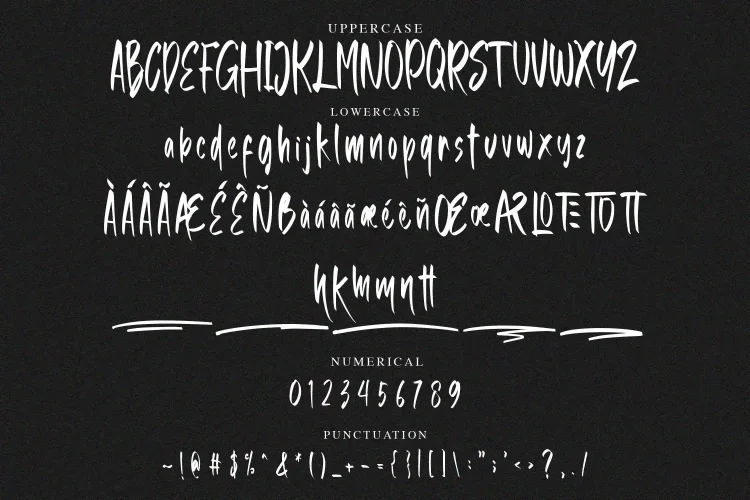 Handwritten Font