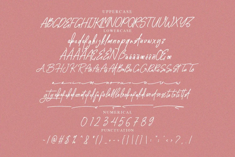 Handwritten Font
