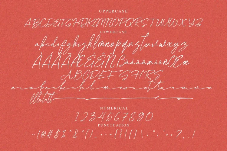 Handwritten Script Font