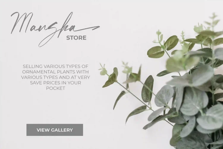Handwritten Script Font