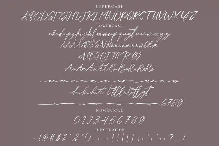 Handwritten Script Font
