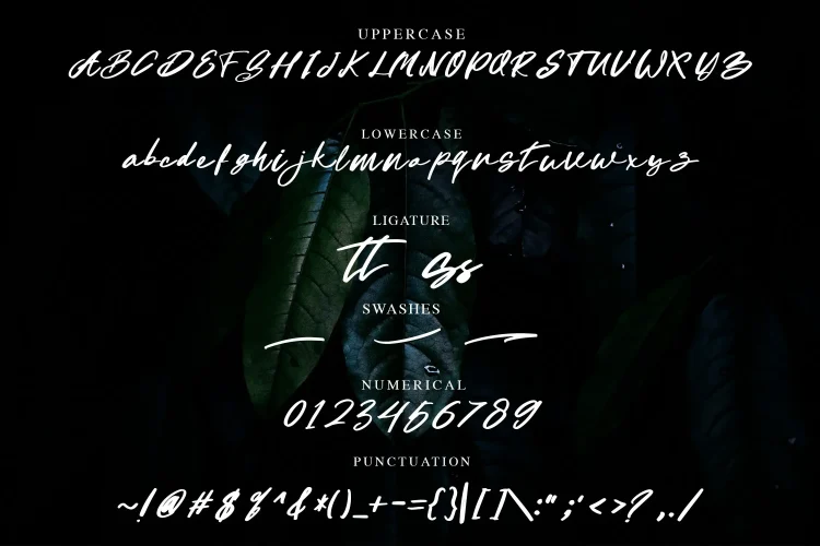Handwritten Script Font