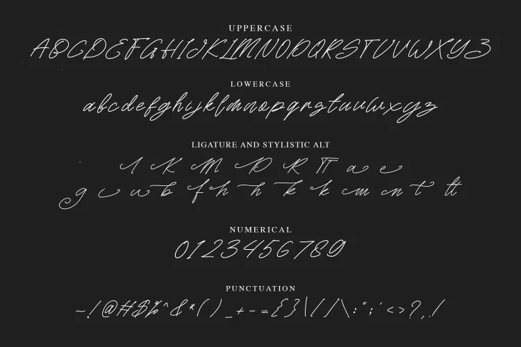 Handwritten Script Font