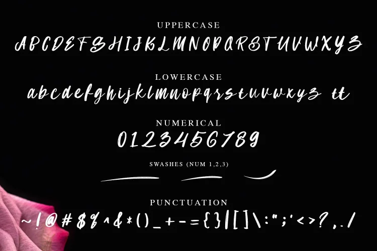 Handwritten Script Font