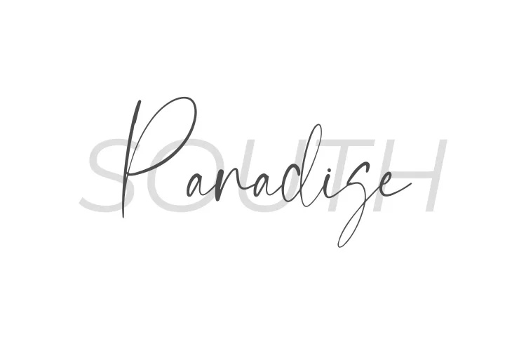 Minimalist Script Font