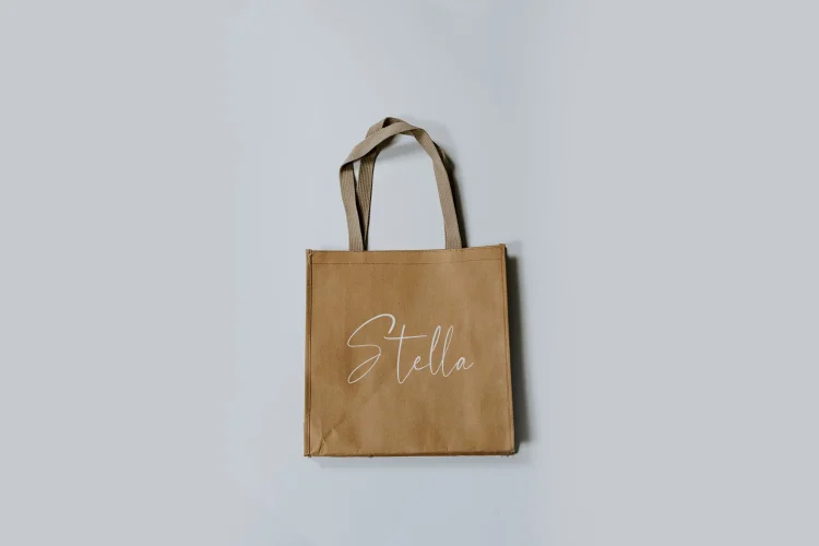 Minimalist Script Font