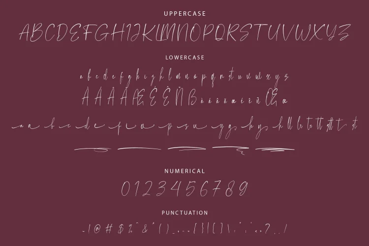 Minimalist Script Font