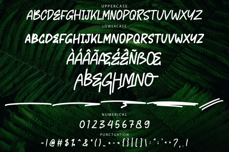 Monoline Brush Font