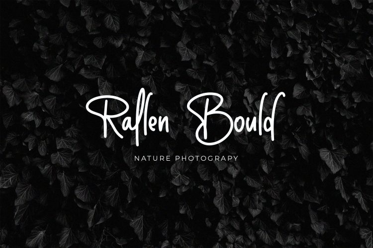 Monoline Handwriting Font