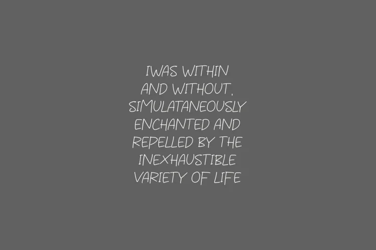 Monoline Handwriting Font