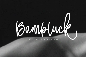 Monoline Script Font
