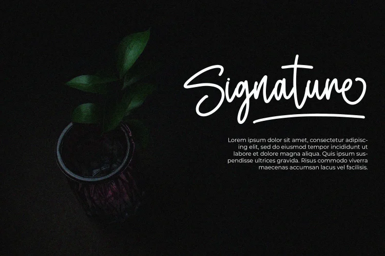 Monoline Script Font