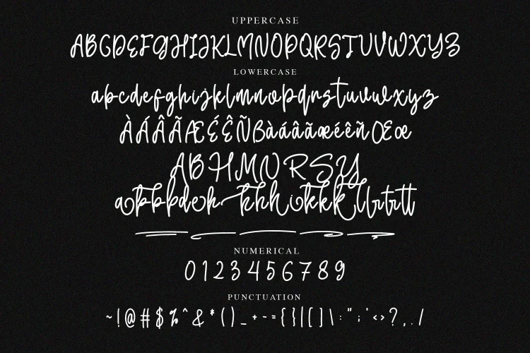 Monoline Script Font