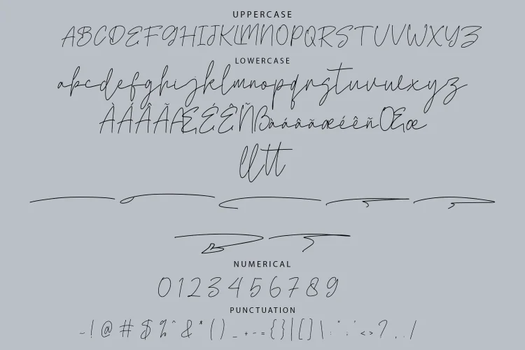 Monoline Script Font
