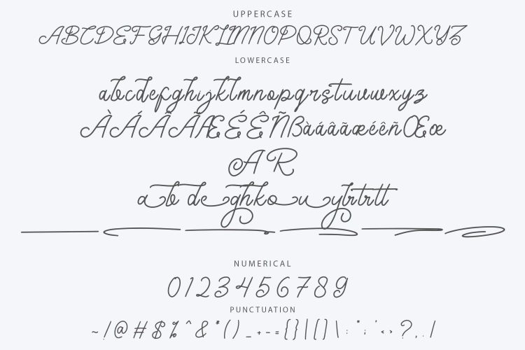 Monoline Script Font