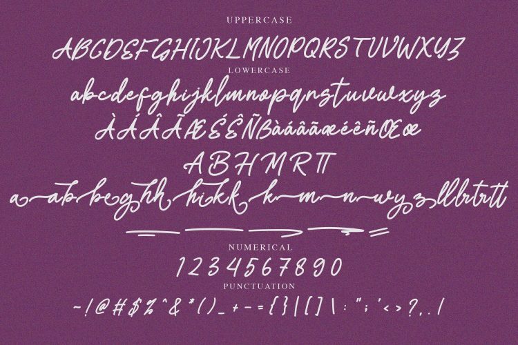 Monoline Script Font