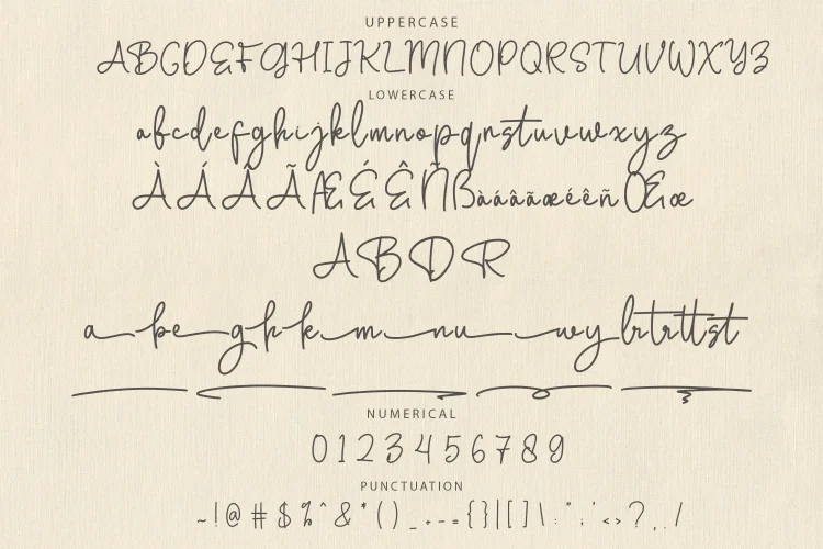 Monoline Script Font