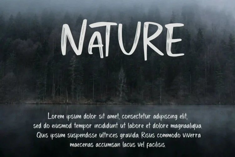 Playful Brush Font