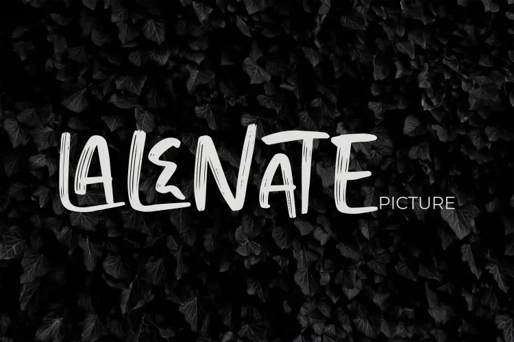 Playful Brush Font