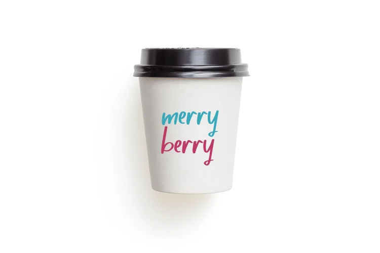 Playful Brush Font