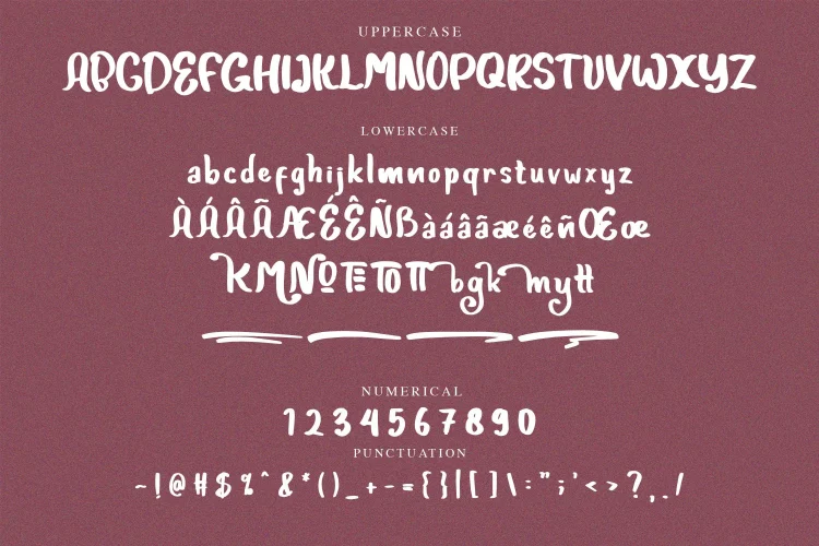 Playful Brush Font