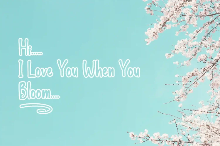 Playful Font