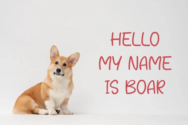 Playful Handwriting Font