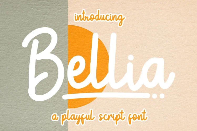 Playful Script Font