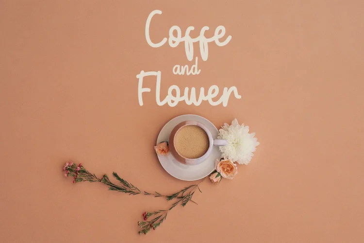 Playful Script Font