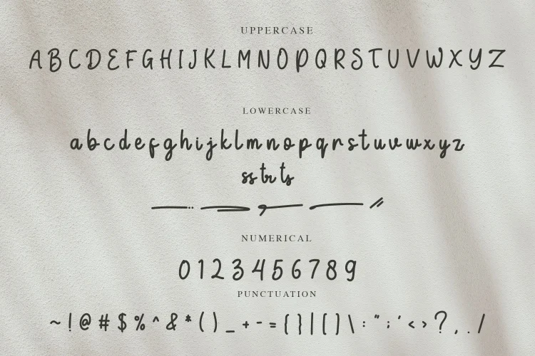 Playful Script Font