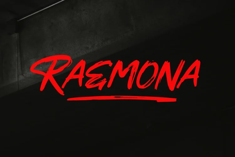 Rough Brush Font