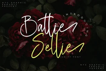 Script Font