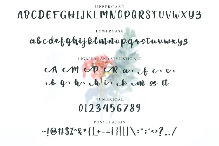 Script Font