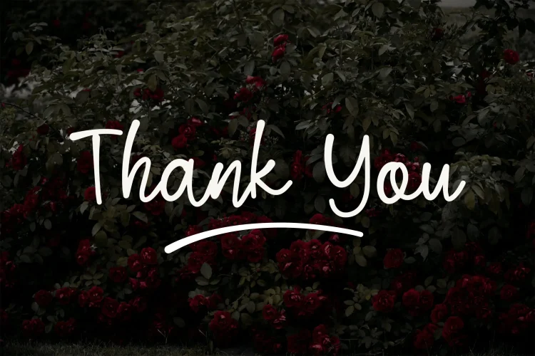 Script Font