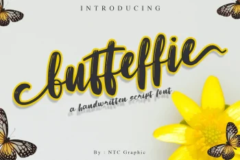 Script Font