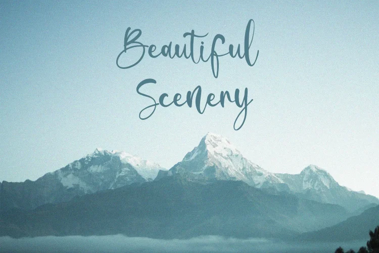 Script Font