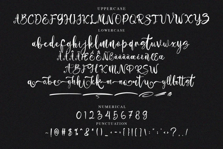 Script Font