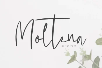 Script Font