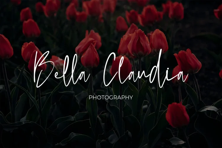 Script Font