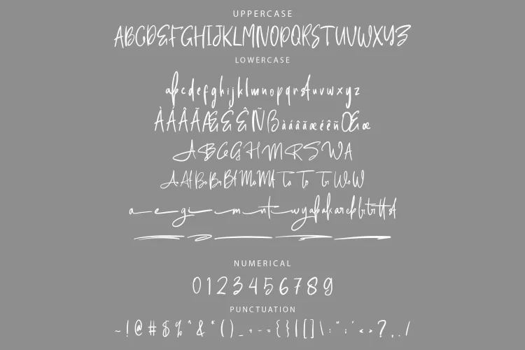 Signature Font