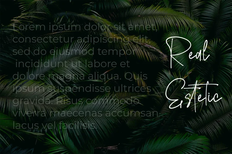 Signature Script Font